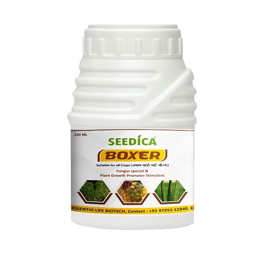 Organic Boxer 250 ML